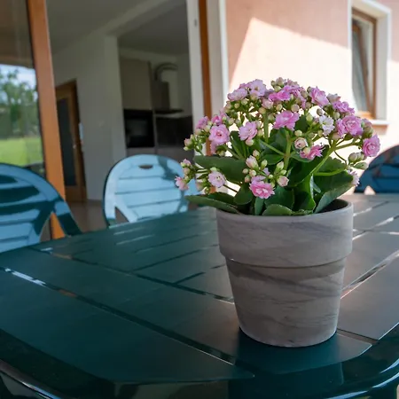 Apartma Luketovi Apartment Vojscica
